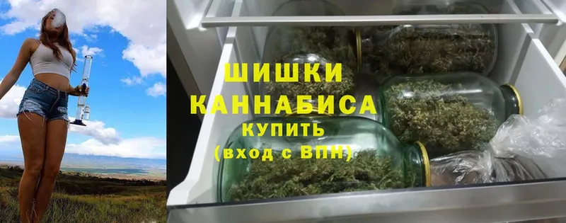 Конопля Bruce Banner  дарнет шоп  Бабаево 